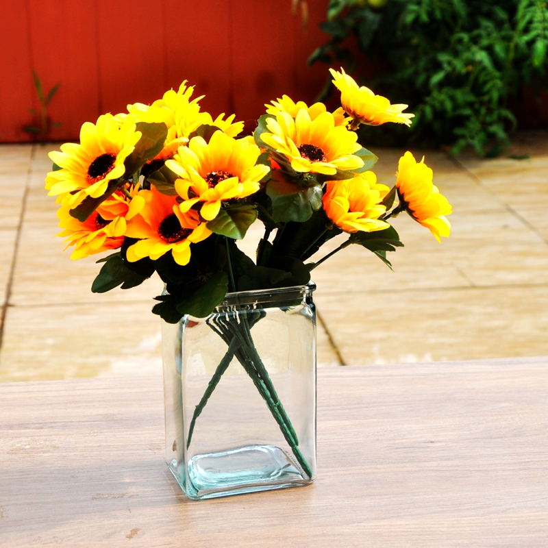 Glass Vases